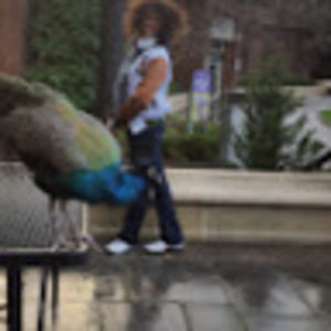 Meet your Posher, Darah